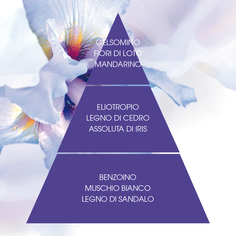 L'amande Crema corpo Iris supremo Shopping online