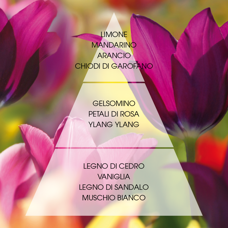 L'amande Eau de parfum Antalya Vendita calda