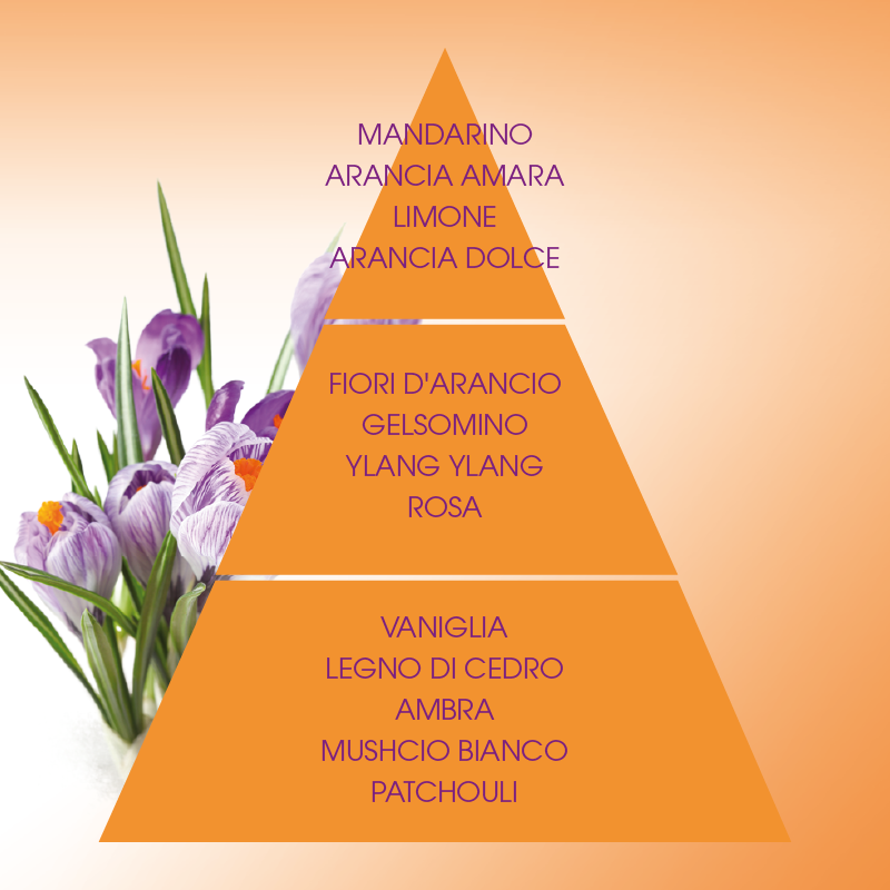 L'amande Bagno doccia Armonie Online Outlet