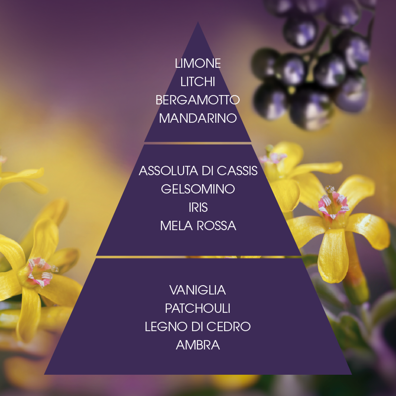 L'amande Acqua profumata Cassis supremo Prezzo basso