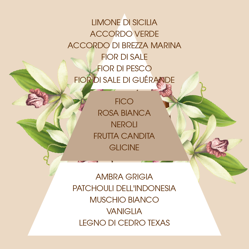 L'amande Eau de parfum Fleur de Sel & Vanille Only for today