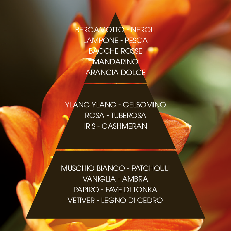 L'amande Bagno doccia Lili Promozione