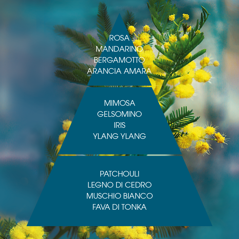 L'amande Bagno doccia Mimosa suprema Consegna Veloce