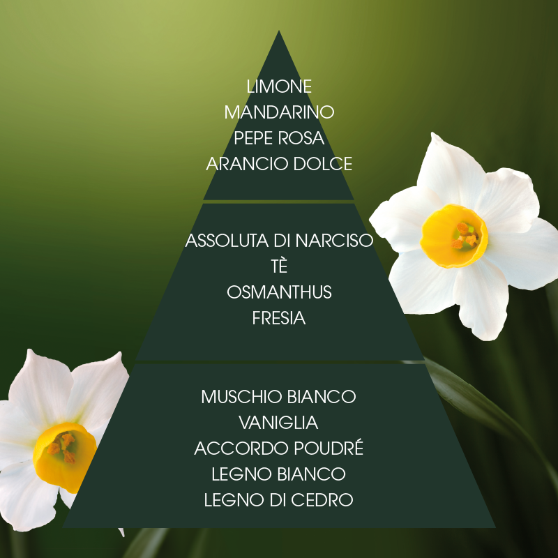L'amande Acqua profumata Narciso supremo Affare Del Giorno