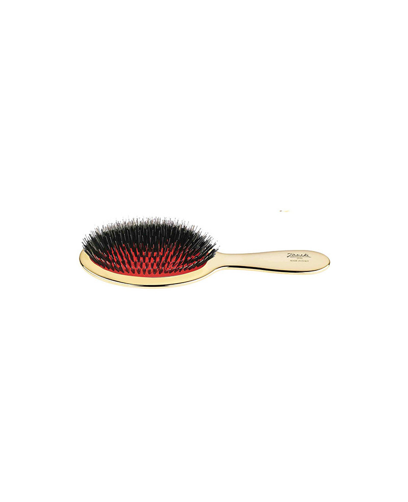 Janeke Spazzola dorata con setole e rinforzo nylon - cod. AUSP22M Ritorno libero