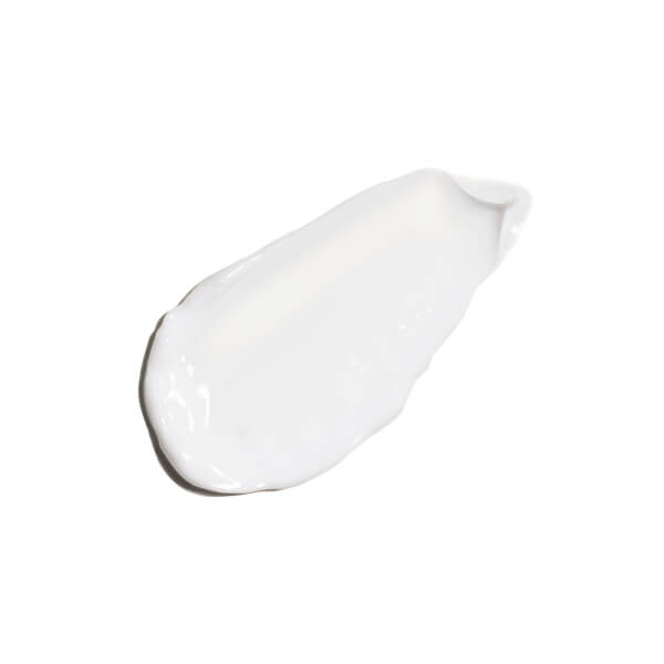 The Ordinary The Ordinary Natural Moisturising Factors + HA 100 ml In Vendita