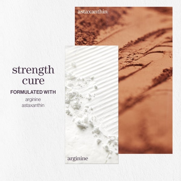 Pureology Pureology Strength Cure Shampoo 266ml Vendita calda