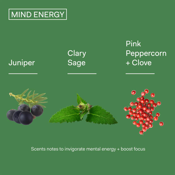 The Nue Co. The Nue Co. Mind Energy Energizing Fragrance 50ml Shopping online