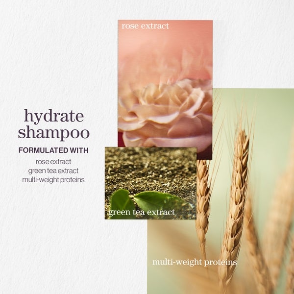 Pureology Pureology Hydrate Shampoo and Conditioner Moisturising Bundle for Dry Hair Sulphate Free for a Gentle Cleanse 50% di sconto con spedizione gratuita