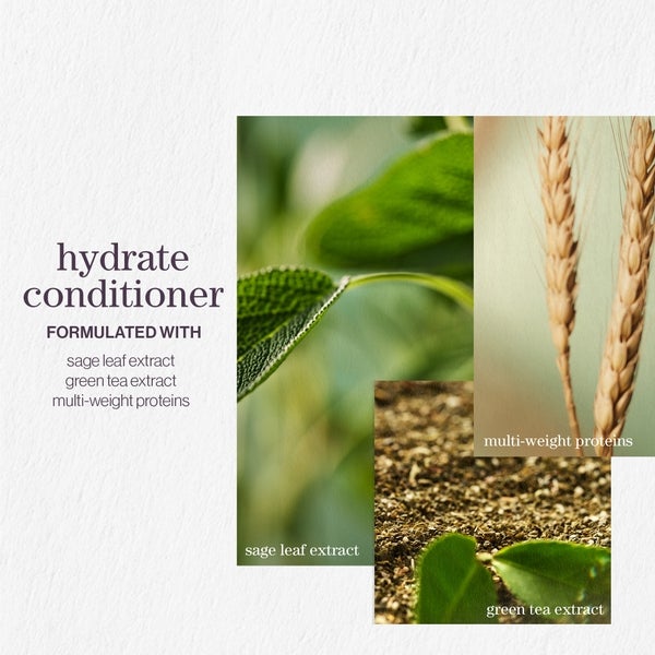 Pureology Pureology Hydrate Shampoo and Conditioner Moisturising Bundle for Dry Hair Sulphate Free for a Gentle Cleanse 50% di sconto con spedizione gratuita