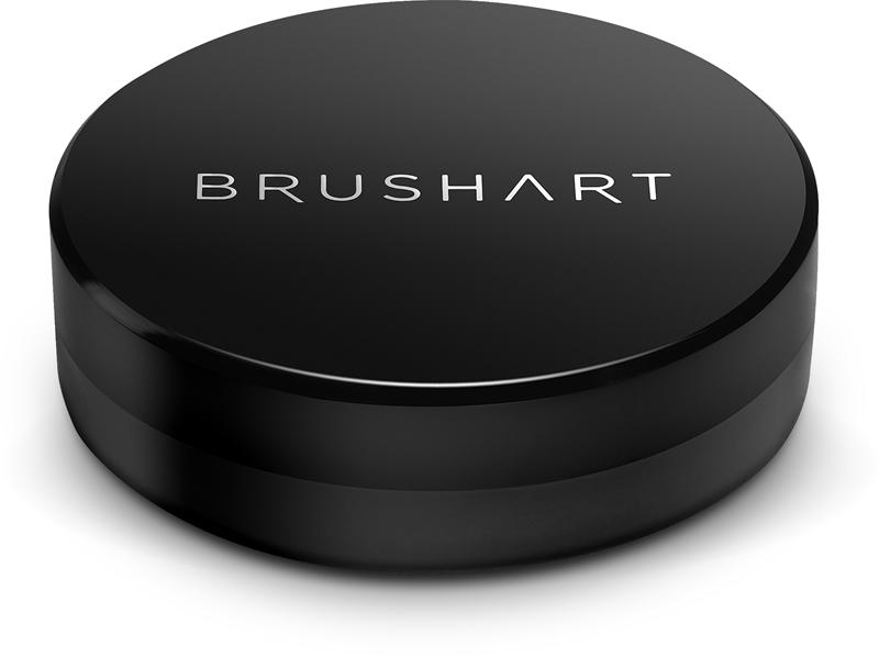 BrushArt BrushArt Professional Brush cleaning sponge Spugna per pulizia a secco Ritorno libero