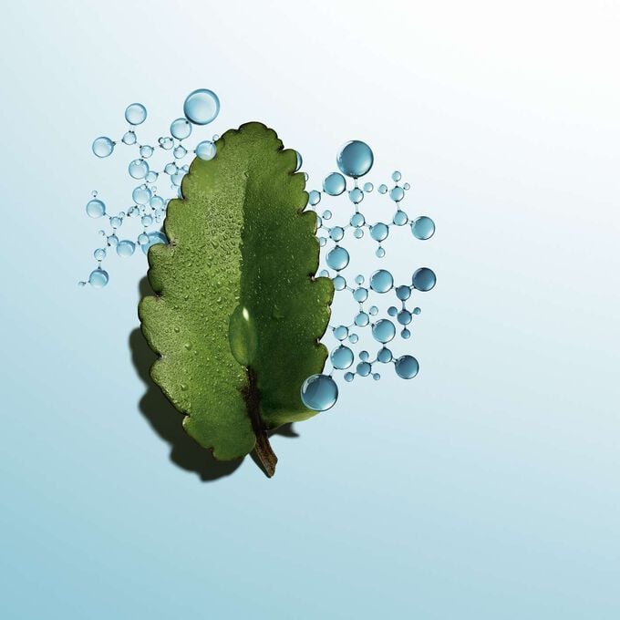 Clarins Hydra-Essentiel [HA²] Siero Bifase Idratante Liquidazione