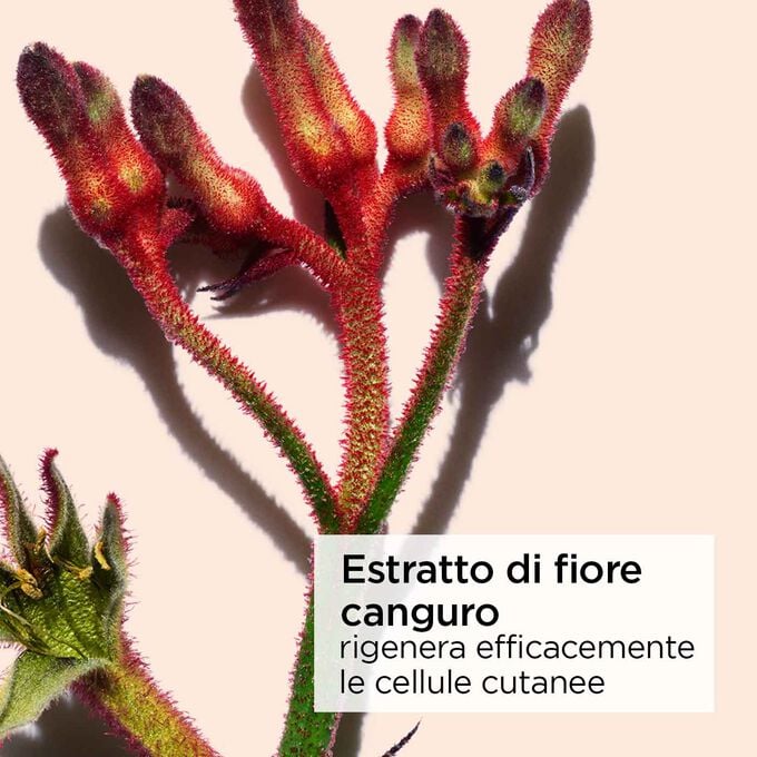 Clarins Extra-Firming Crema Antirughe Tutti i tipi di pelle Latest stili