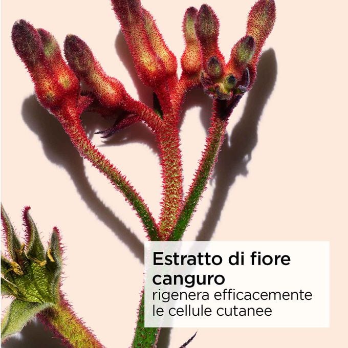Clarins Extra-Firming Crema Antirughe Notte Speciale Pelle Secca Esporta salva
