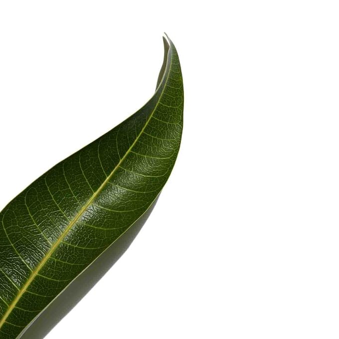 Clarins UV PLUS Antinquinamento Trasparente Online
